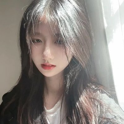 南极料理人