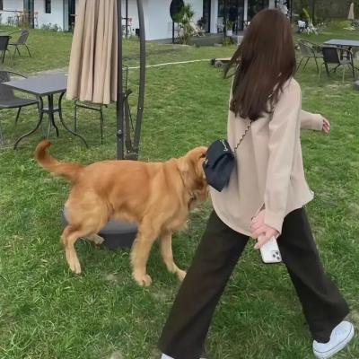 串珠游戏